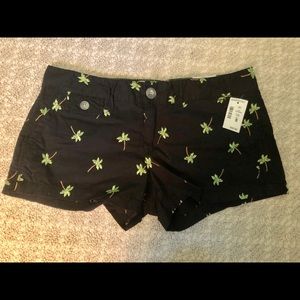 NWT Aeropostale Shorts